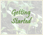 Getting Started