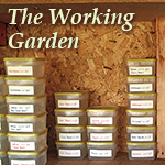 Working Garden