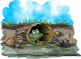 frog in log