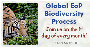 EoP Biodiversity Process