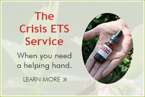 Crisis ETS Service