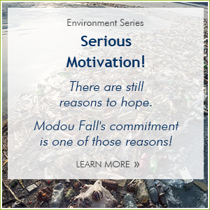 Serious Motivation for the Environment