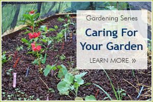 Caring for Your Garden