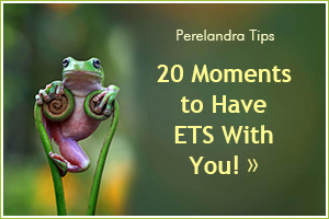 20 Times for ETS