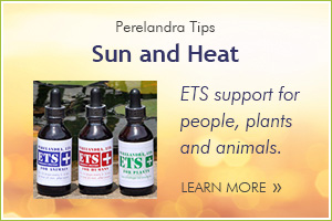 Tips Sun and Heat
