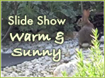 Warm & Sunny Slide Show