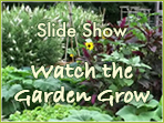 Watch the Garden Grow