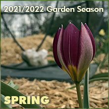 Spring 2022 ~ 4/30/22