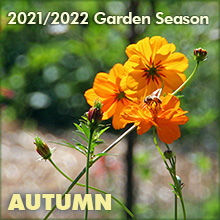 Autumn 2021 ~ 10/8/21