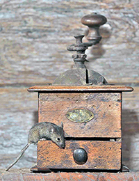 mouse on grinder