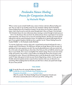 Nature Healing Process Paper