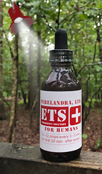 ETS for Humans