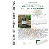 Virus Bacteria Brochure