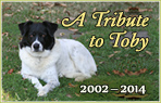 Toby, 2002 - 2014