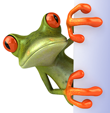 FAQ Frog