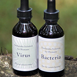 Virus and Bacteria Feature