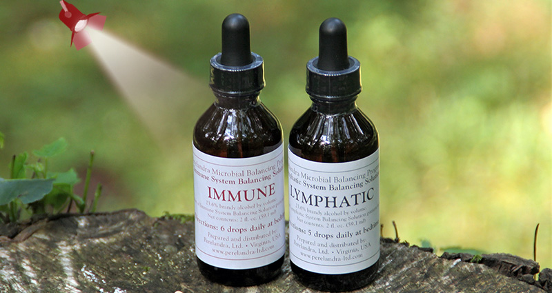 Immune and Lymphatic Solutions