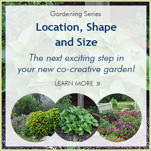 Gardening Series
